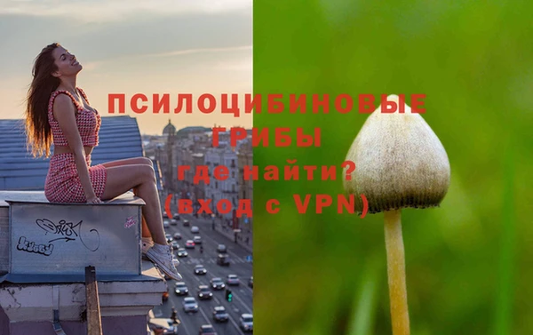 наркотики Богданович