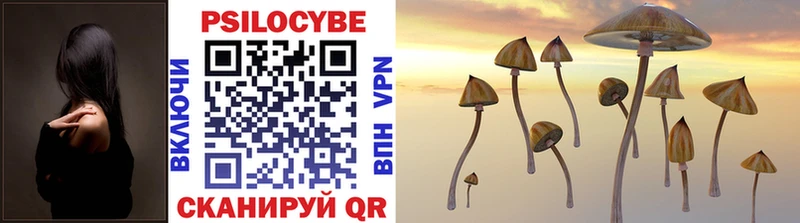 Галлюциногенные грибы Psilocybe наркошоп blacksprut ссылка Гремячинск